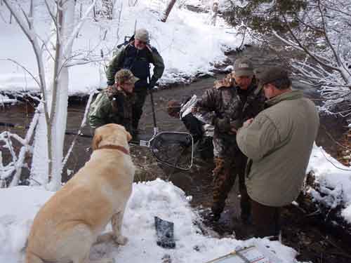 Tye Supervises